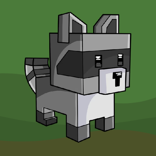 Raccoon Pet
